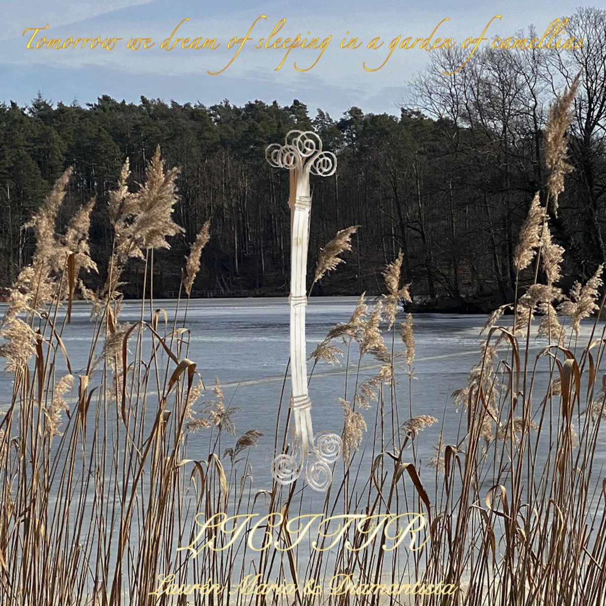 licitir - Tomorrow we dream of sleeping in a garden of camellias